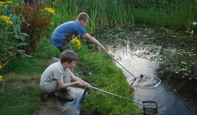 children with nets around a pond