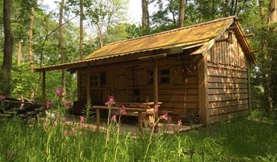A wood cabin at Forest Garden Shovelstrode eco glamping