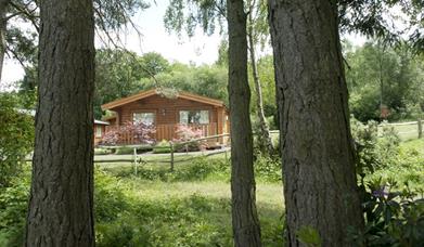 Woodland image of Cottesmore Lodges
