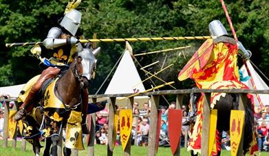 Two jousters wearing colourful medieval armour