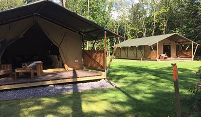 Front view of the safari lodges at Worth Forest Glamping