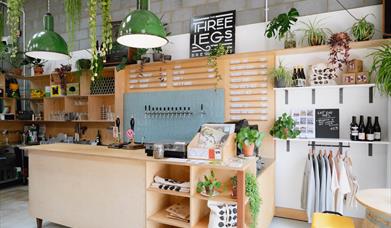 an image of the bar with the beer taps behind. Lots of green plants on shelves around and hanging from the ceiling