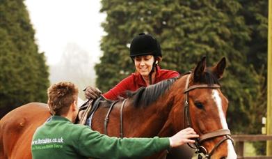 a horse being held while rider mounts