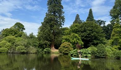 Learn to paddleboard / SUP at Sheffield Park & Garden, National Trust