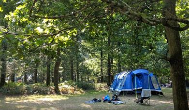Blue tent set up in woodland forest