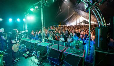 Horsham Fake Festival