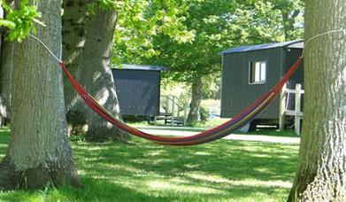 A hammock tied between two trees