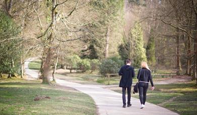 people walking on a paved path through woods