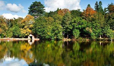 view from across the lake of green and brown leafed trees with blue skies behind