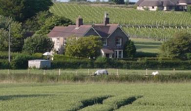 Stane House