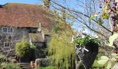 Flower hanging basket