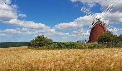 image of a windmill in a field
