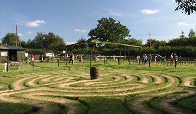 an outdoor maze in the grass field.