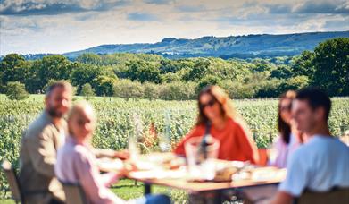 guests enjoying a meal and a drink overlooking the South Downs