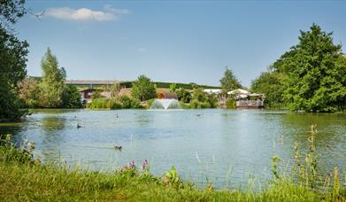 Large pond surrounded by woods and greenery in Sussex