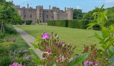 view of the castle from the garden
