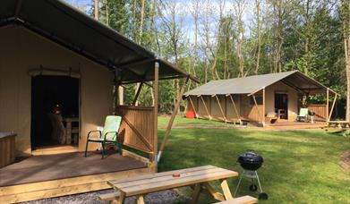 glamping cabins at worth forest glamping