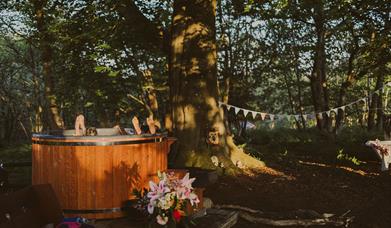hot tub under the trees