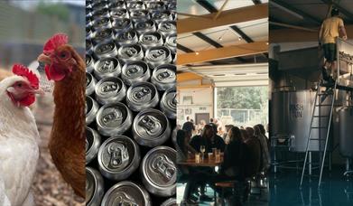 Brewing Brothers Brewery