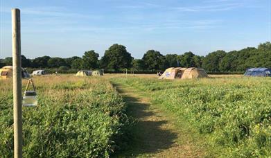 Barn owl field with tents and a line of trees in the distance