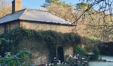 a brick building with ivy growing up the side of it