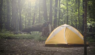 a tent pitched in woods