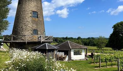 view of the old windmill tower and tasting rooms