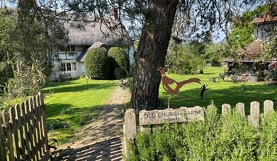 The ancient thatched farmhouse framed by a scots pine and gardens.