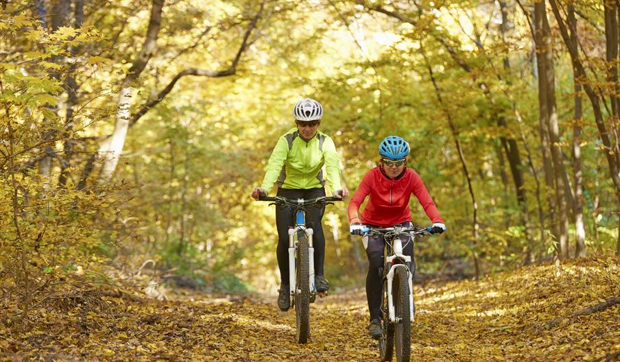 cyclists riding through autumnal trees