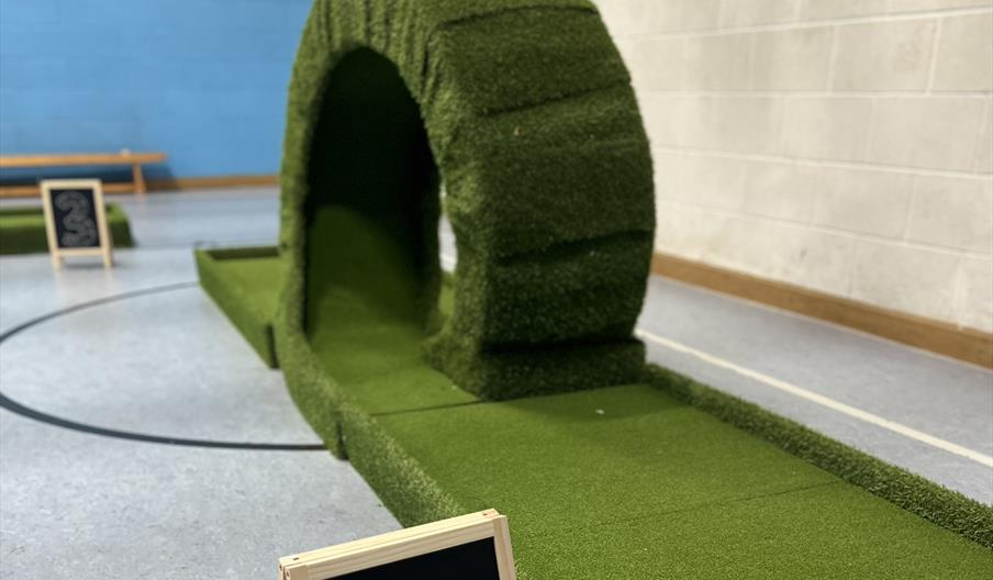 Mini Golf Loop the Loop