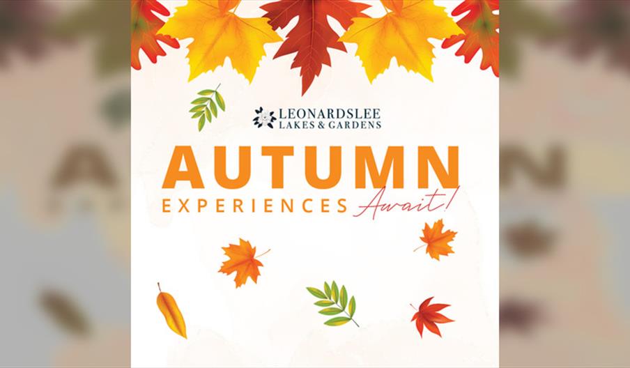Autumn Workshops at Leonardslee Lakes & Gardens