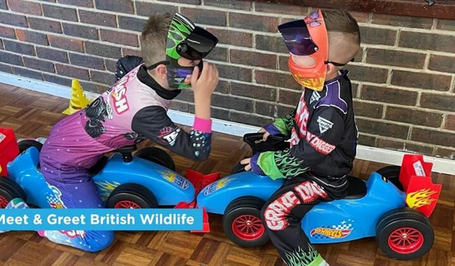 Racing Cars, Monster Trucks & Ramps!