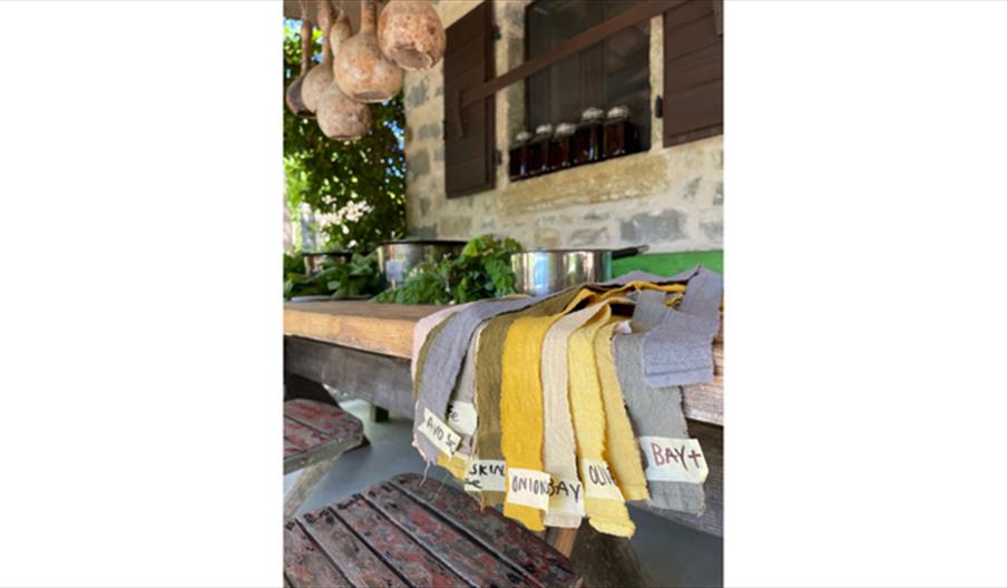 Natural Dye Workshop and Farm-to-Table Lunch