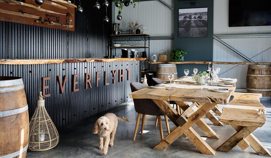 View of the Vineyard