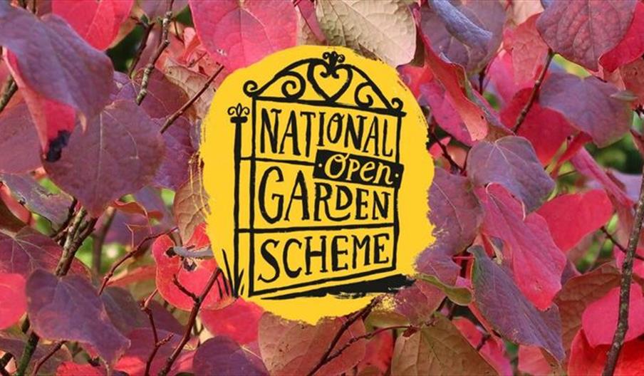 National Garden Scheme Open Day