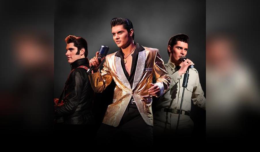 Emilio Santoro as Elvis