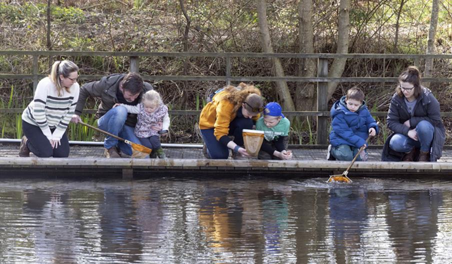 Pond dipping & Bug hunting