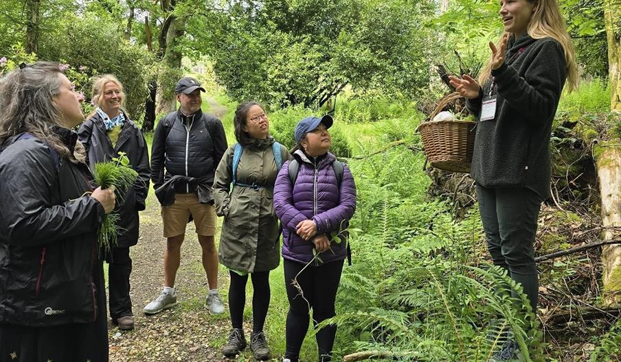 Talking about wild food
