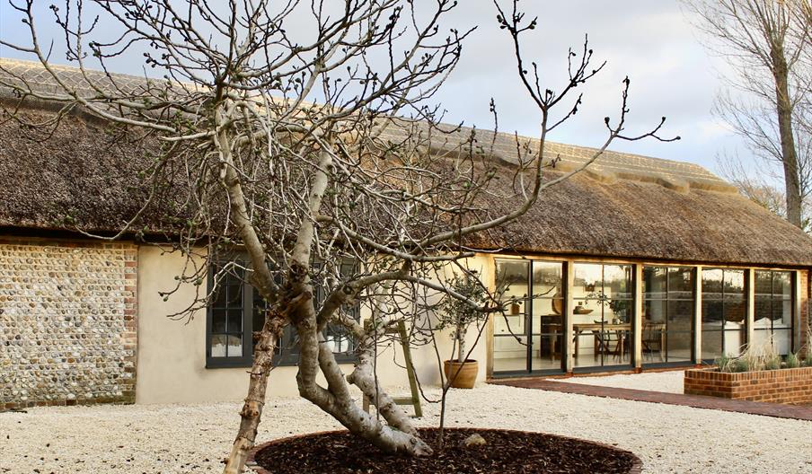 Barn exterior with fig tree