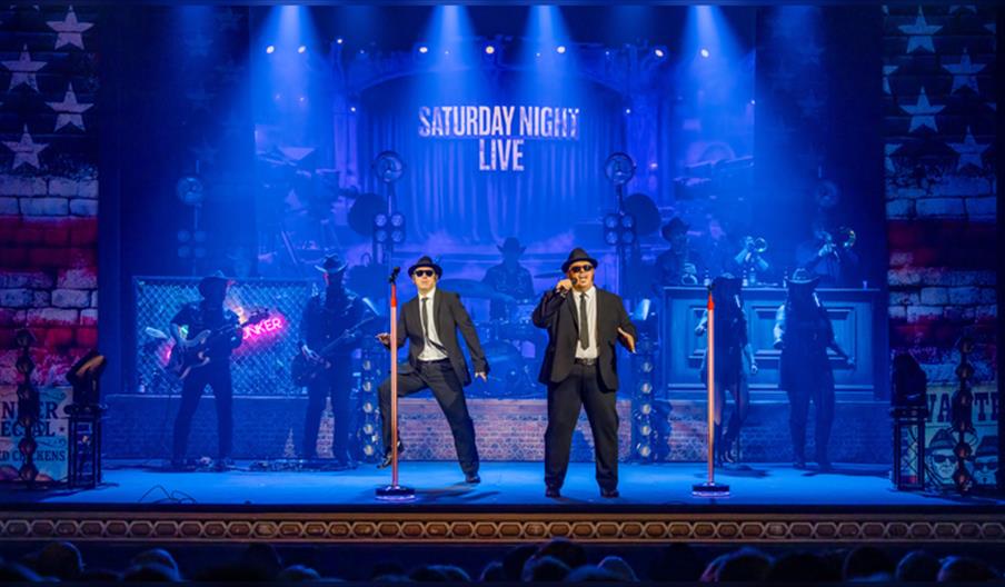 The Chicago Blues Brothers