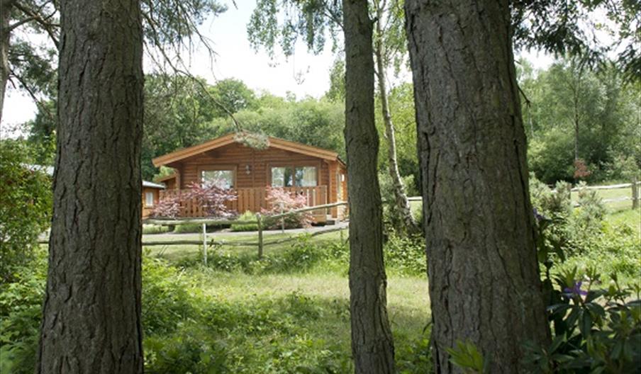 Woodland image of Cottesmore Lodges