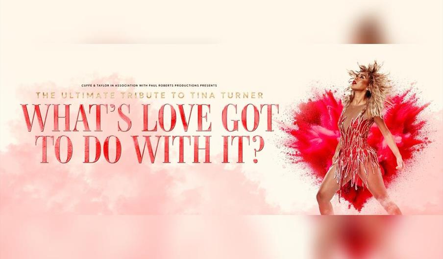 What's Love Got To Do With It?