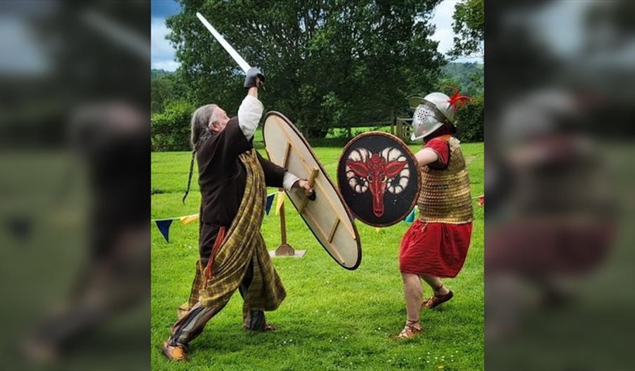 Meet the Ancestors