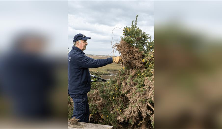 Chichester Harbour Work Party - Fishbourne Meadows