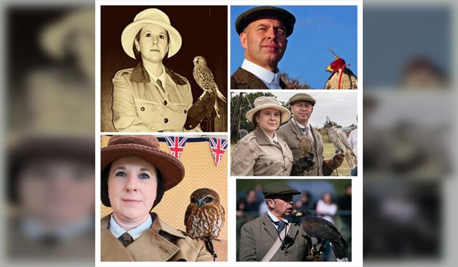 Edwardian and The Great War Historic Falconry