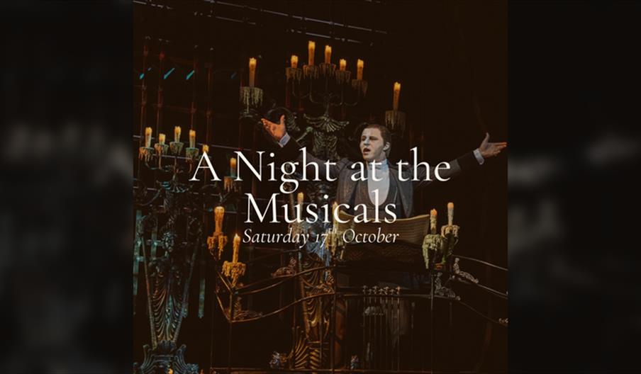 A Night at The Musicals