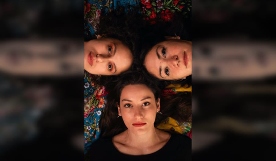 Alkanna Graeca and Max Baillie