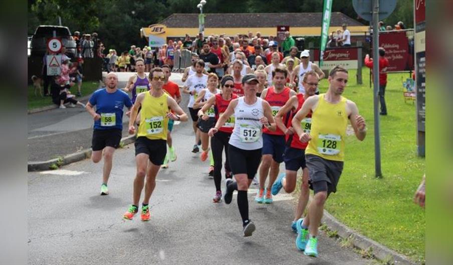 Rye Half Marathon & 10k