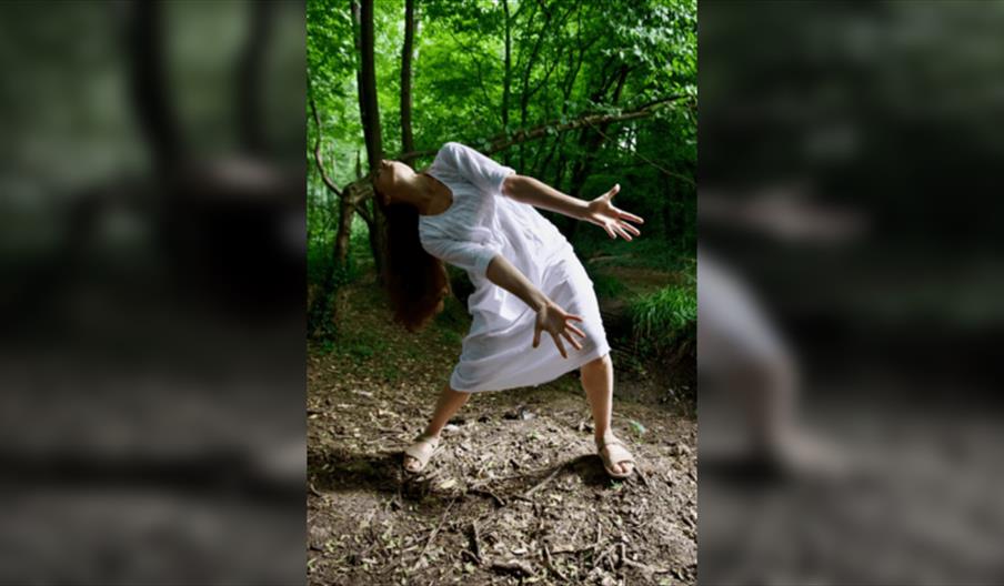 Sleepwalk: The Dream of Lady Macbeth