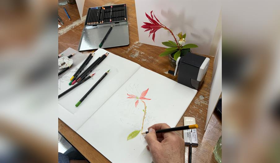 Botanical Illustration Workshop: Autumn